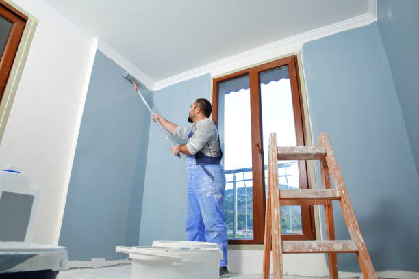 Best Drywall Removal and Disposal  in Webster Groves, MO